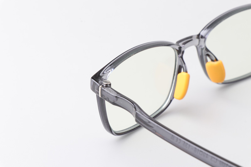 WT5109 Eyeglasses Transparent Gray