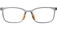WT5109 Eyeglasses Transparent Gray