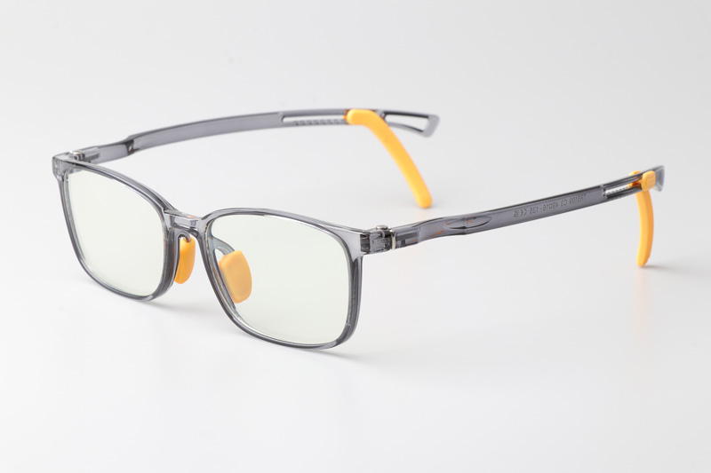 WT5109 Eyeglasses Transparent Gray