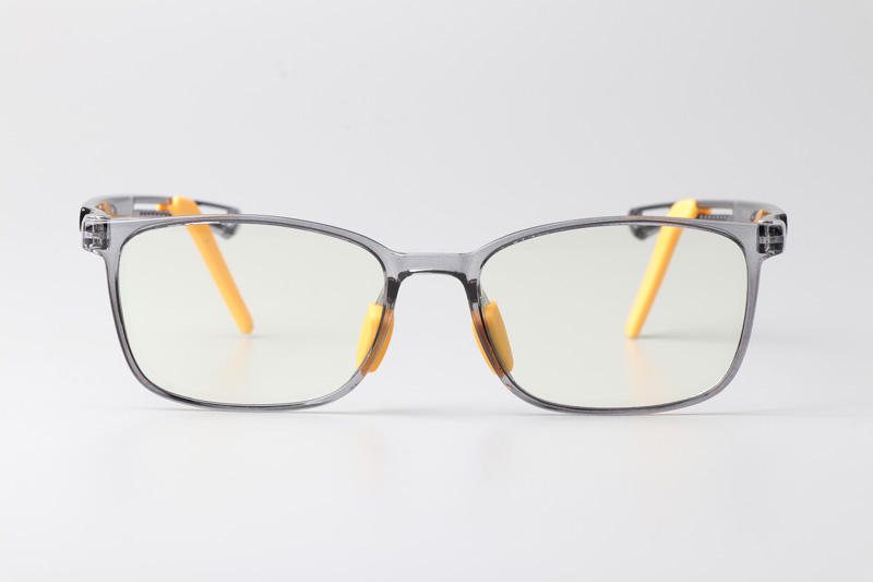 WT5109 Eyeglasses Transparent Gray