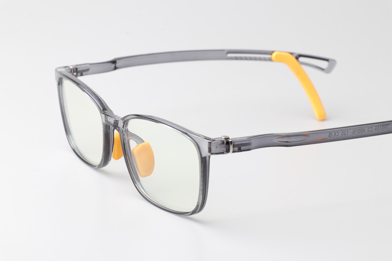WT5109 Eyeglasses Transparent Gray