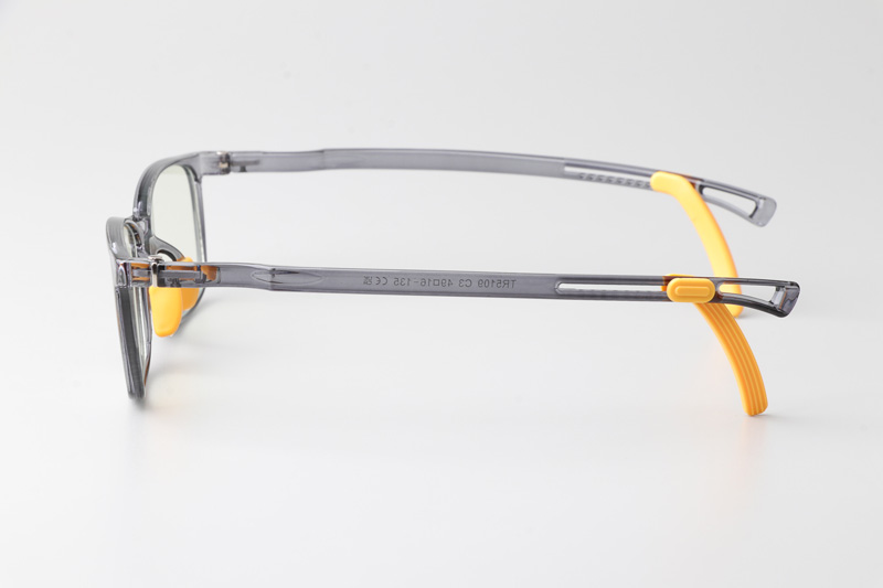 WT5109 Eyeglasses Transparent Gray