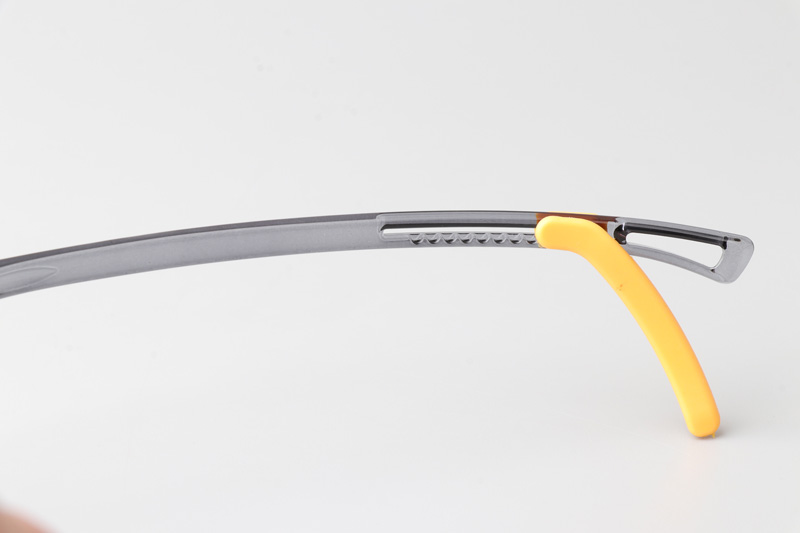 WT5109 Eyeglasses Transparent Gray