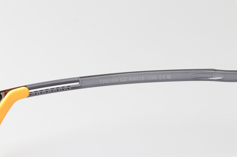 WT5109 Eyeglasses Transparent Gray