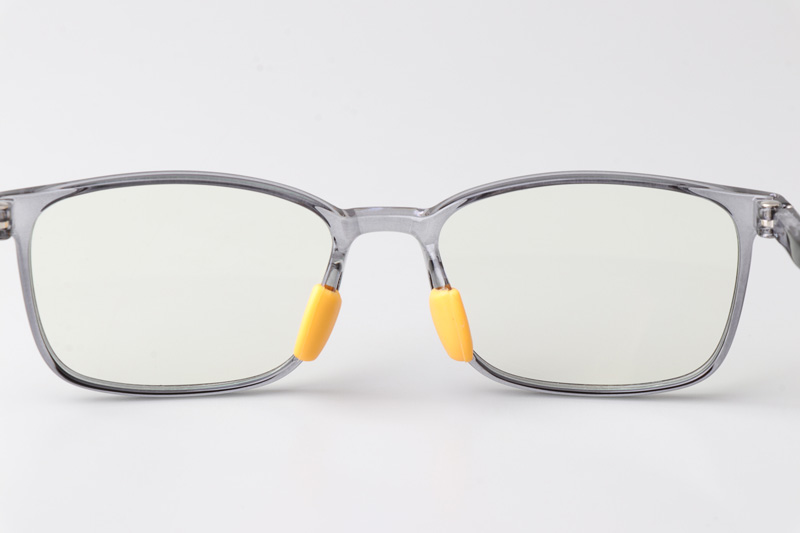 WT5109 Eyeglasses Transparent Gray