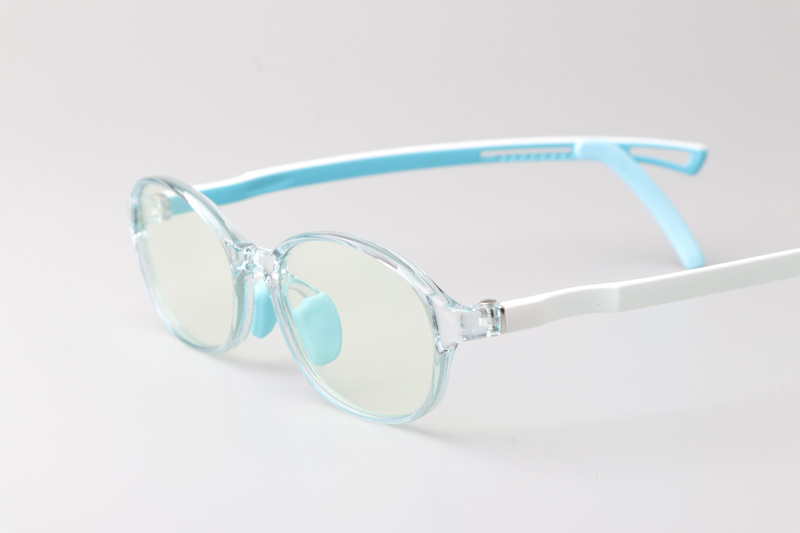WT5110 Eyeglasses Transparent Blue