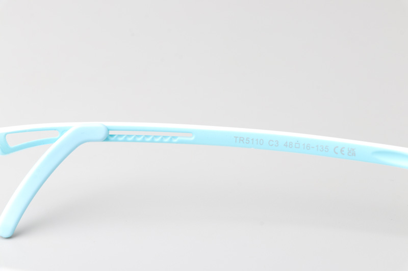 WT5110 Eyeglasses Transparent Blue