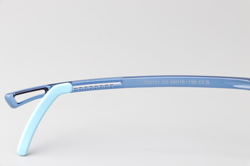WT5111 Eyeglasses Blue