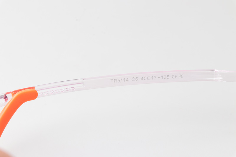 WT5114 Eyeglasses Transparent Purple