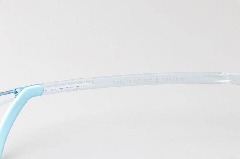 WT5115 Eyeglasses Transparent Blue