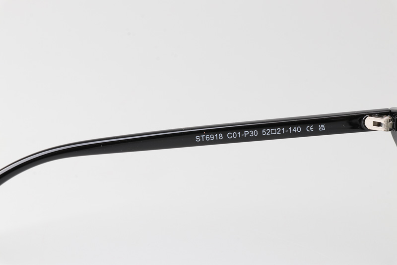 WT6918 Eyeglasses Black