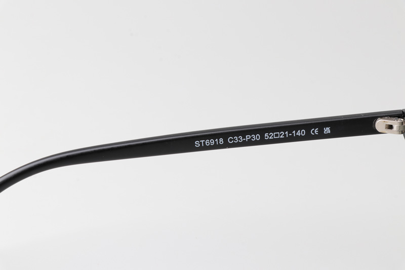 WT6918 Eyeglasses Matte Black