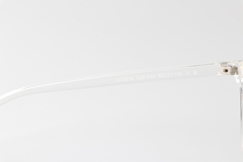 WT6918 Eyeglasses Transparent