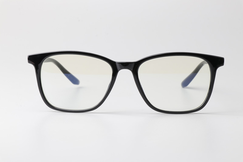 WT6919 Eyeglasses Black