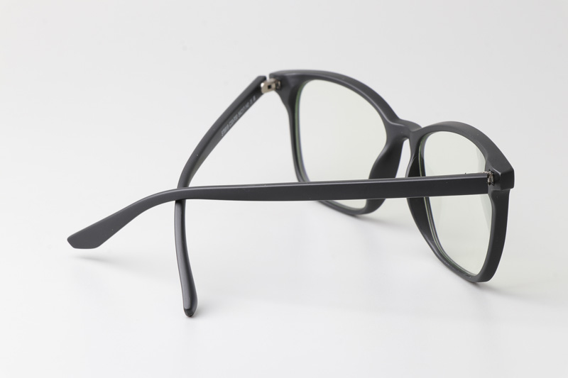 WT6919 Eyeglasses Matte Black