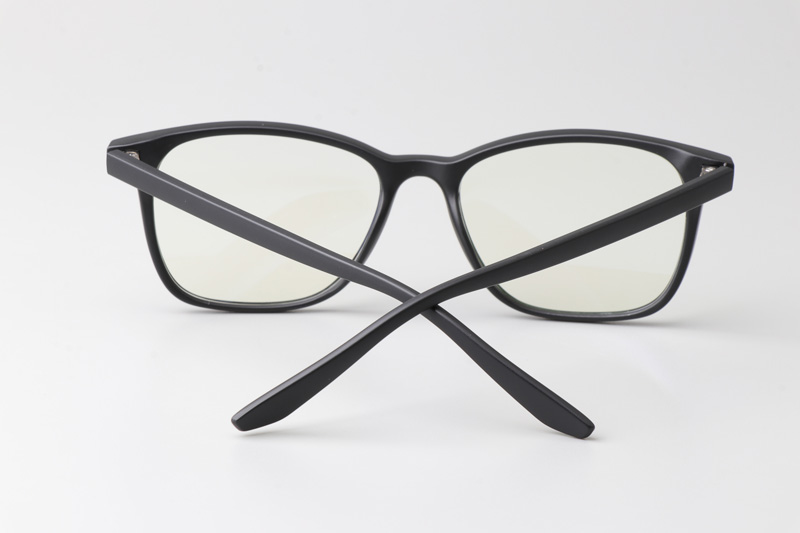 WT6919 Eyeglasses Matte Black