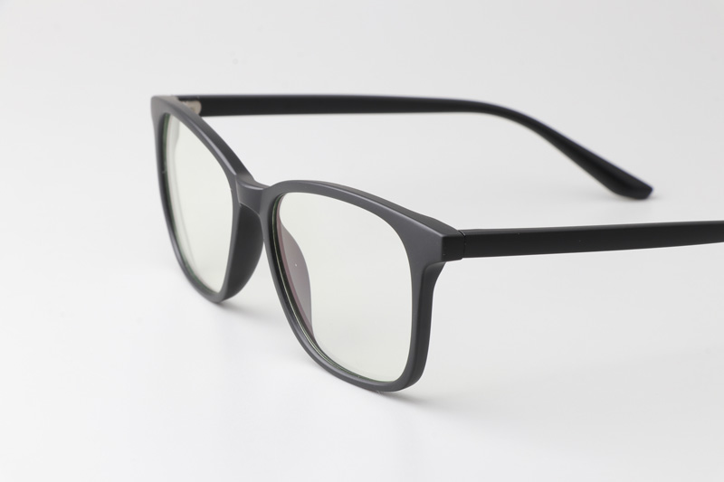 WT6919 Eyeglasses Matte Black