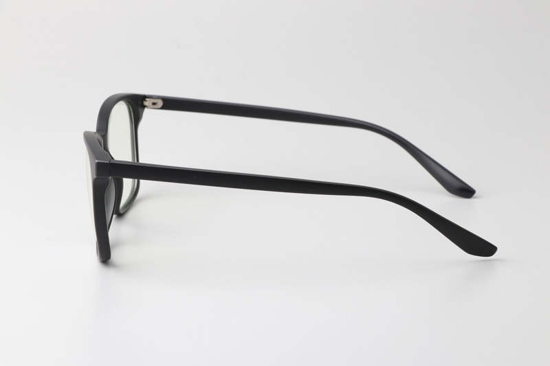 WT6919 Eyeglasses Matte Black