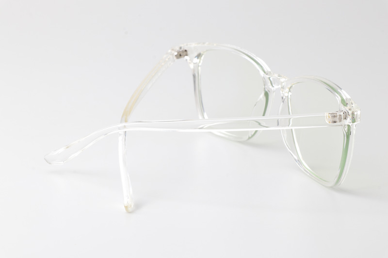 WT6919 Eyeglasses Transparent
