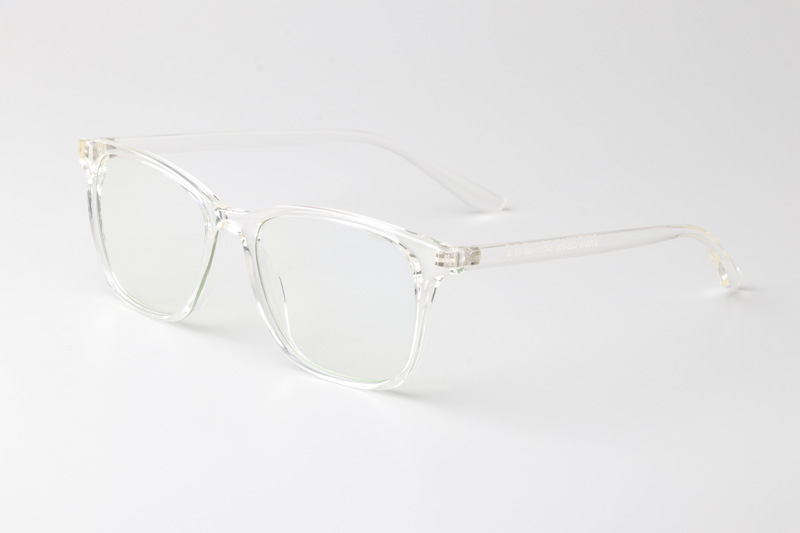 WT6919 Eyeglasses Transparent