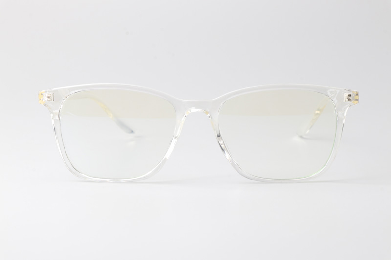 WT6919 Eyeglasses Transparent