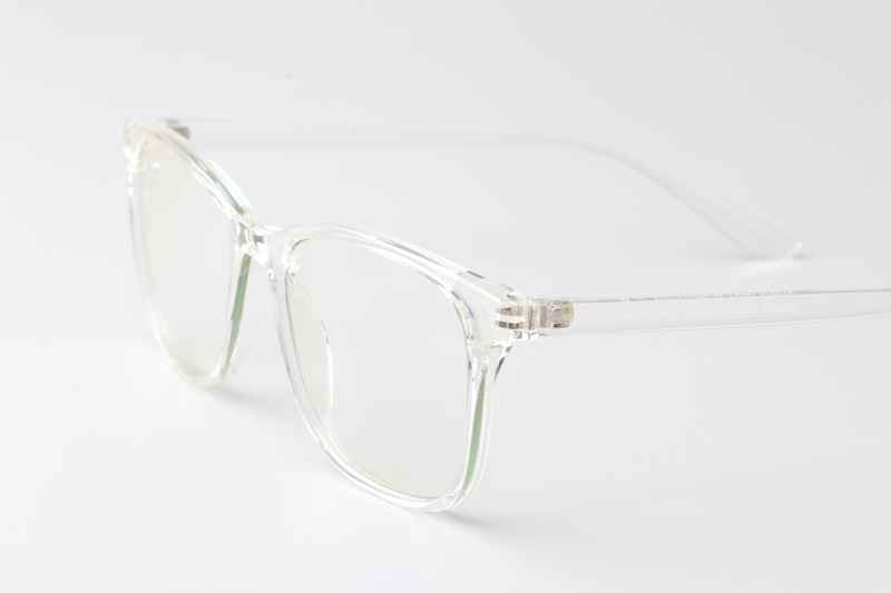 WT6919 Eyeglasses Transparent