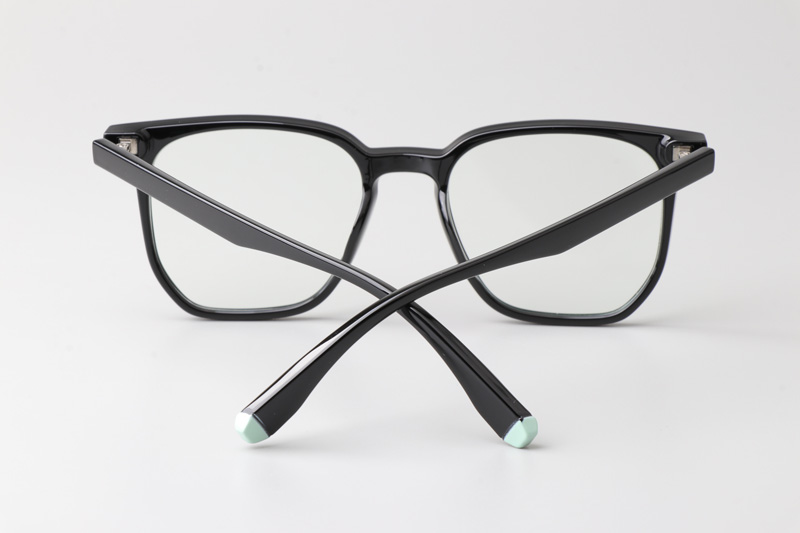 WT7606 Eyeglasses Black