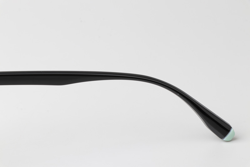 WT7606 Eyeglasses Black