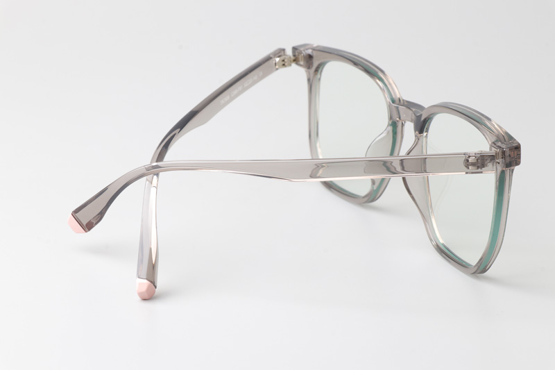 WT7606 Eyeglasses Transparent Gray