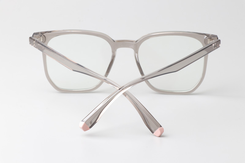 WT7606 Eyeglasses Transparent Gray