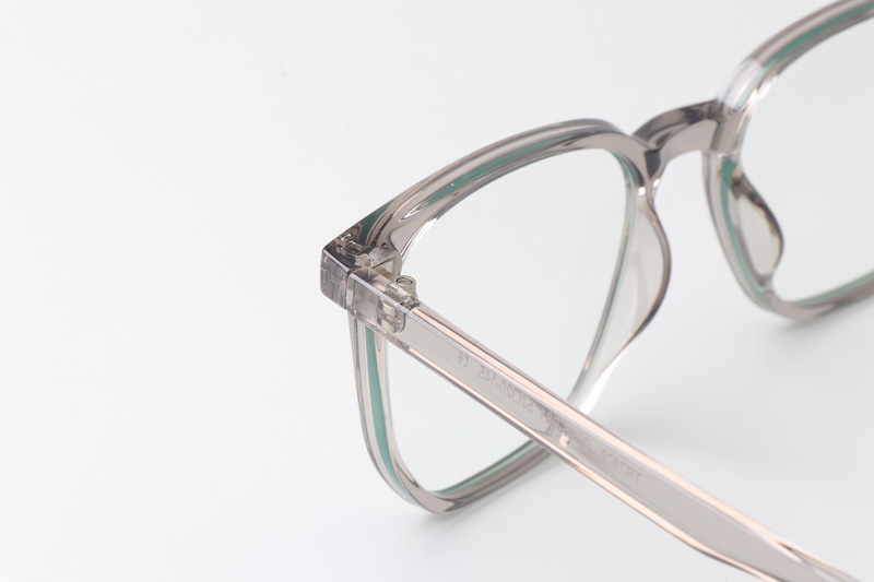 WT7606 Eyeglasses Transparent Gray