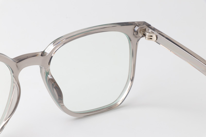 WT7606 Eyeglasses Transparent Gray