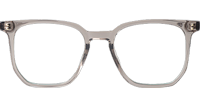 WT7606 Eyeglasses Transparent Gray