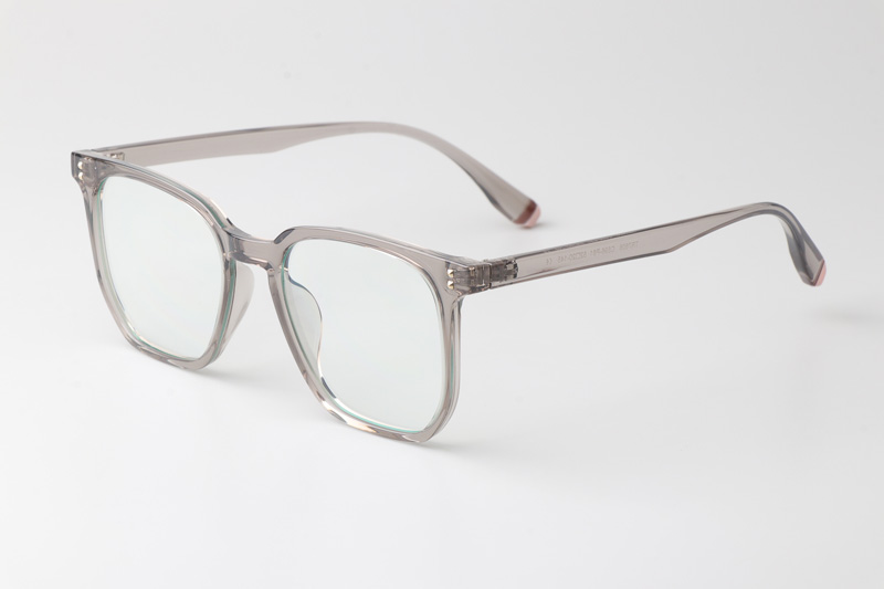 WT7606 Eyeglasses Transparent Gray