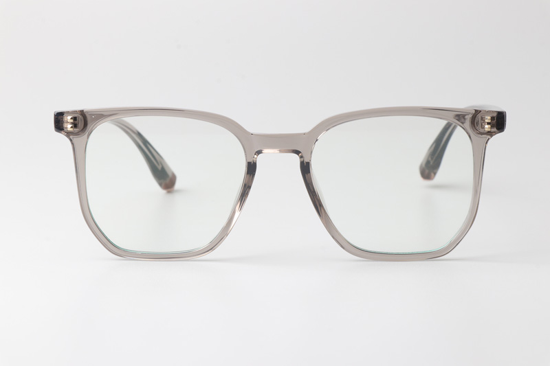WT7606 Eyeglasses Transparent Gray