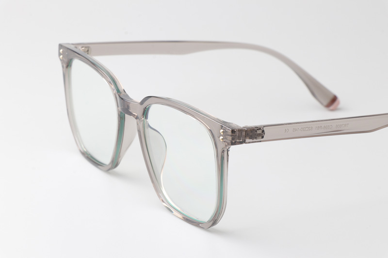 WT7606 Eyeglasses Transparent Gray
