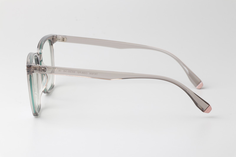 WT7606 Eyeglasses Transparent Gray