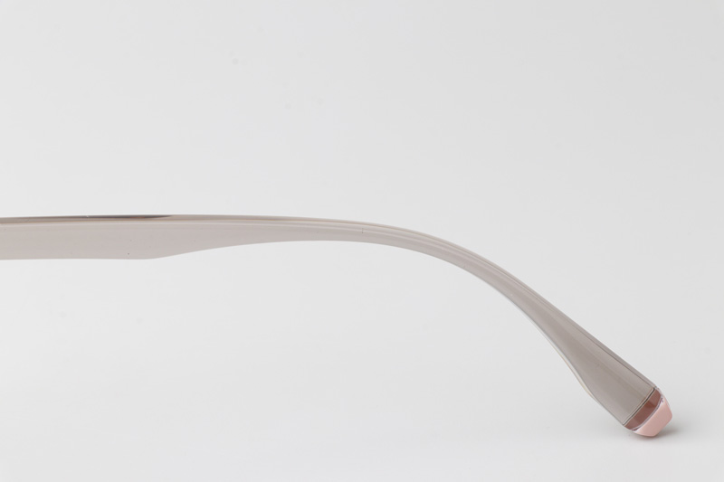 WT7606 Eyeglasses Transparent Gray