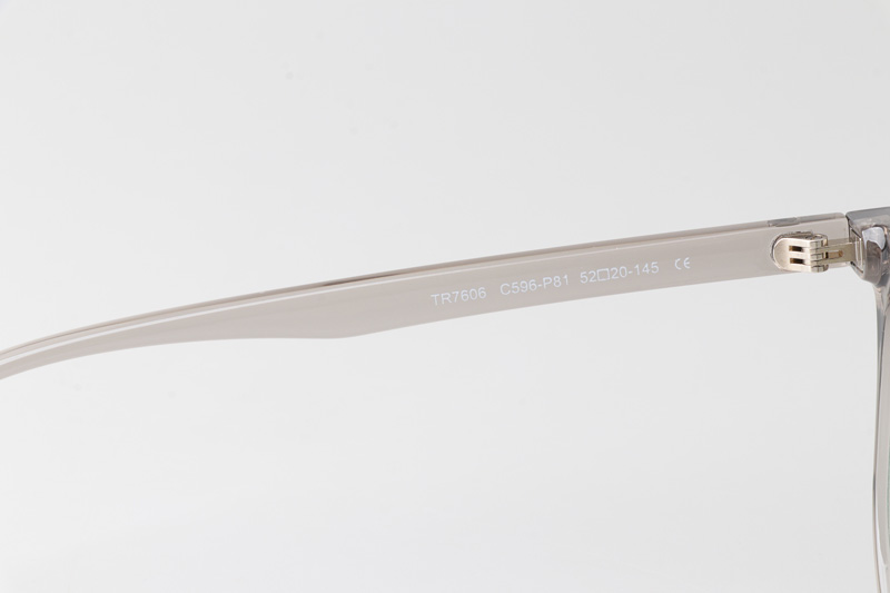 WT7606 Eyeglasses Transparent Gray