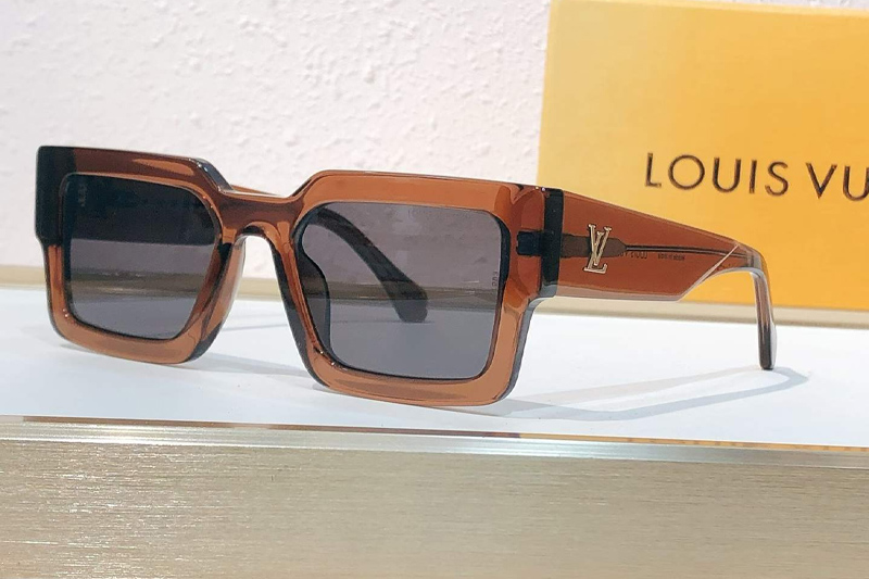 Z1579W Sunglasses Brown Gray
