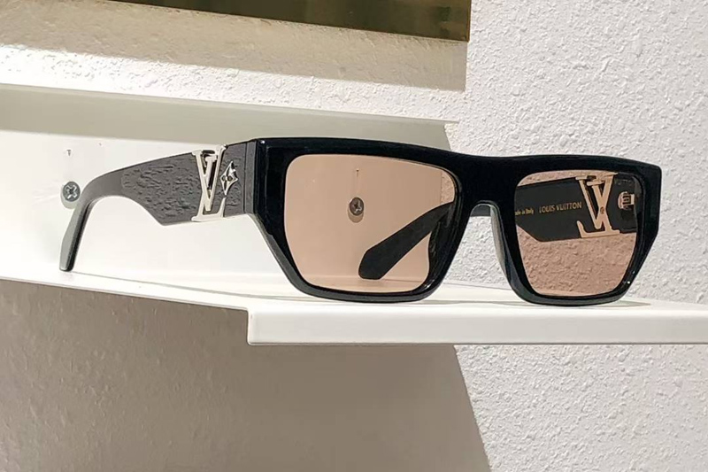 Z2873U Sunglasses Black Brown